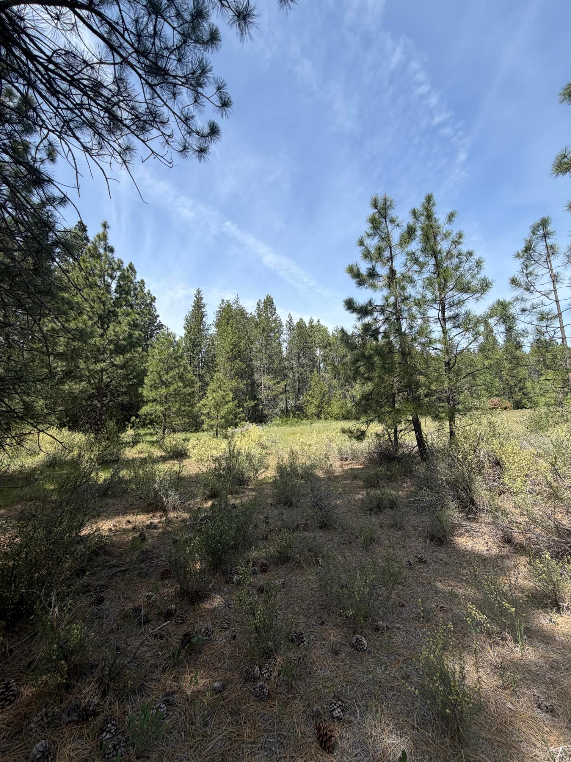 Lot 199-201. Photo 1 of 1, 0 N St. Unit Lot 199-201, Klamath Falls, OR 97601