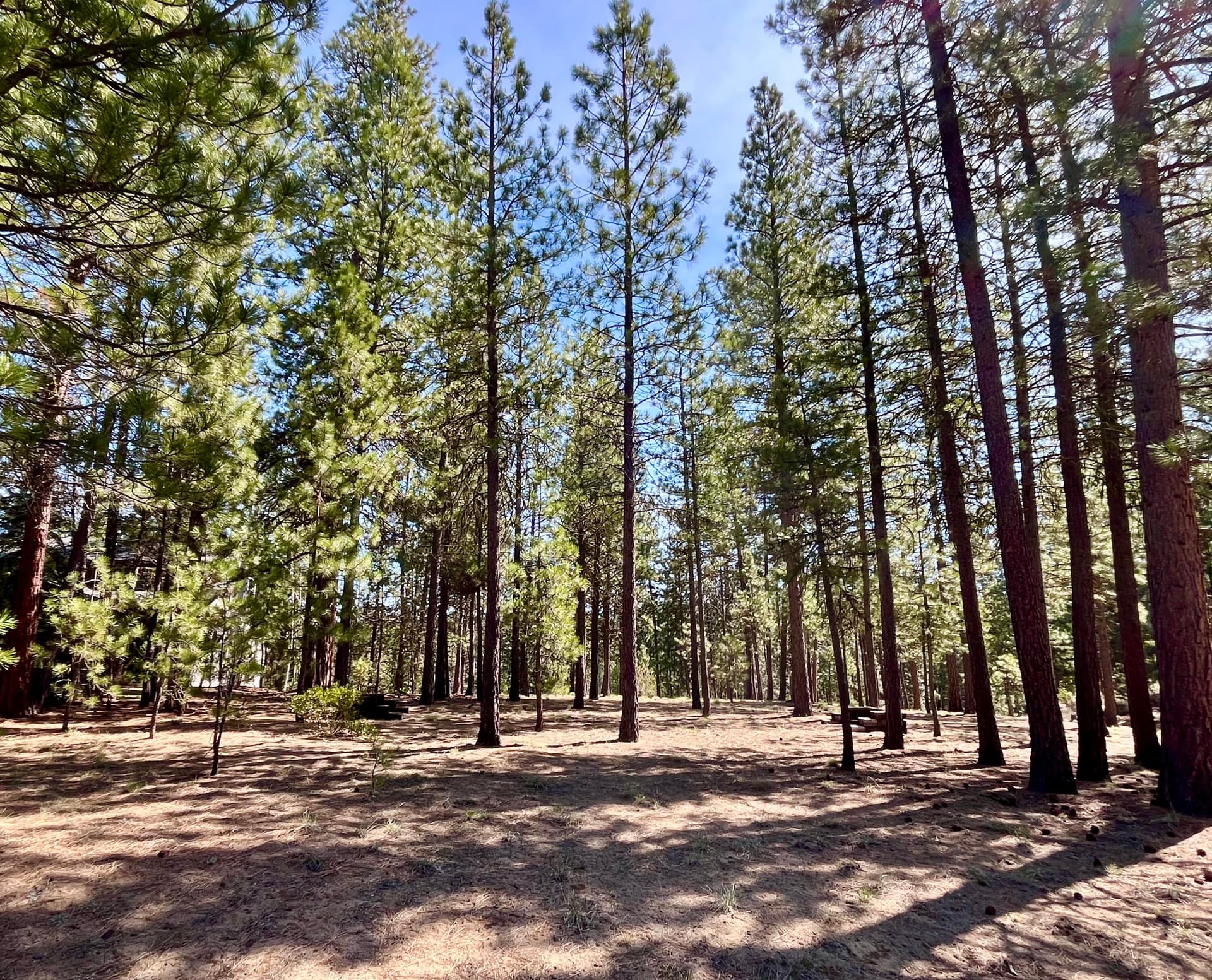 Level area4. Photo 4 of 20, 53514 Wildriver Way, La Pine, OR 97739