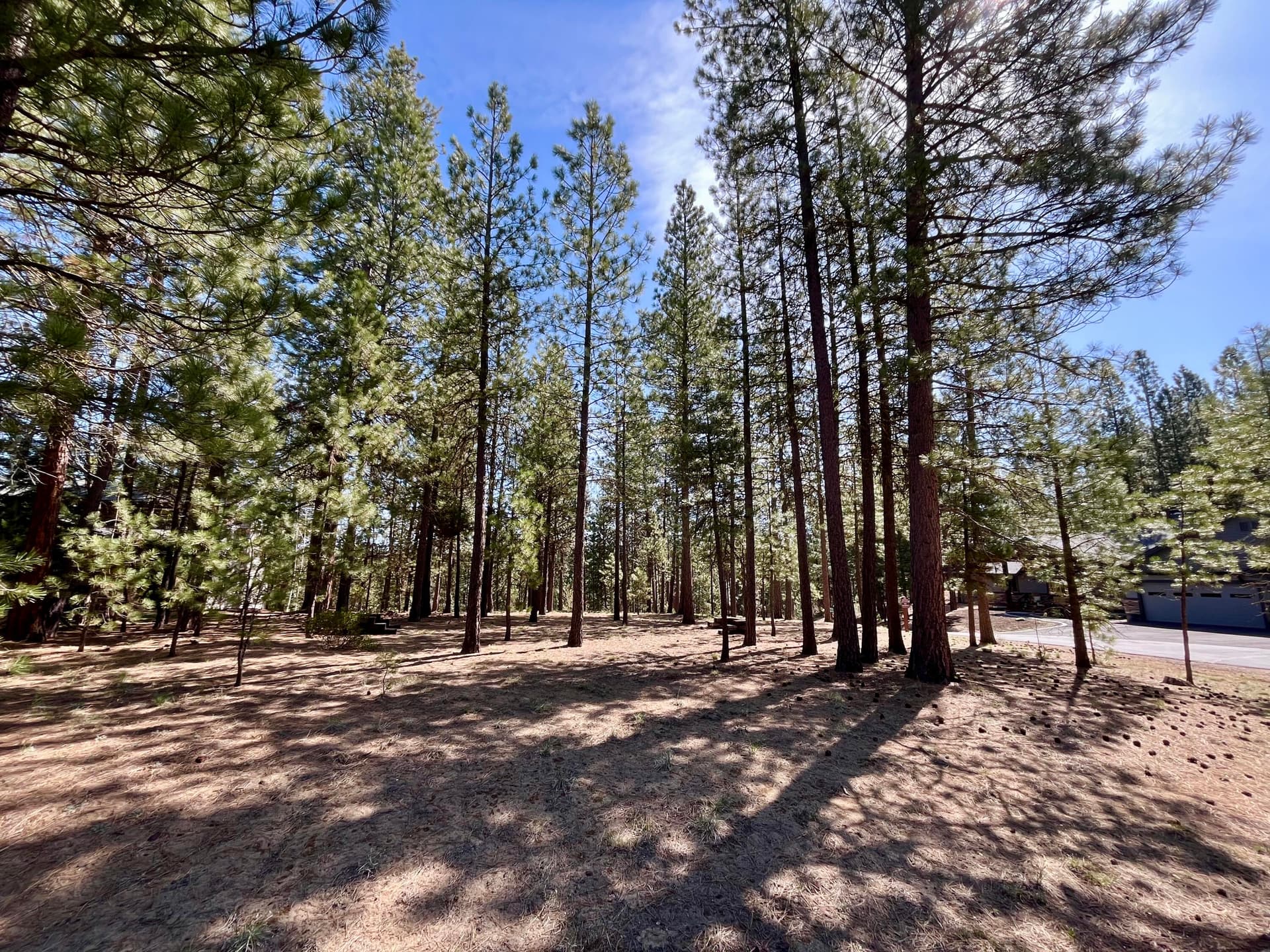 Level area1. Photo 2 of 20, 53514 Wildriver Way, La Pine, OR 97739