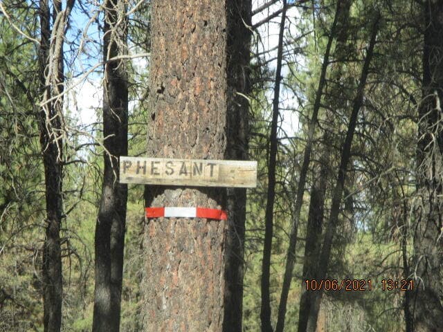 IMG_6094. Photo 5 of 5, 0 Pheasant Lane Unit 16, Chiloquin, OR 97624