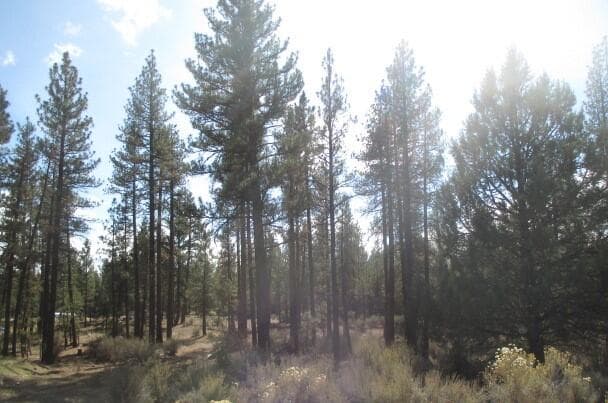 IMG_6096. Photo 1 of 5, 0 Pheasant Lane Unit 16, Chiloquin, OR 97624