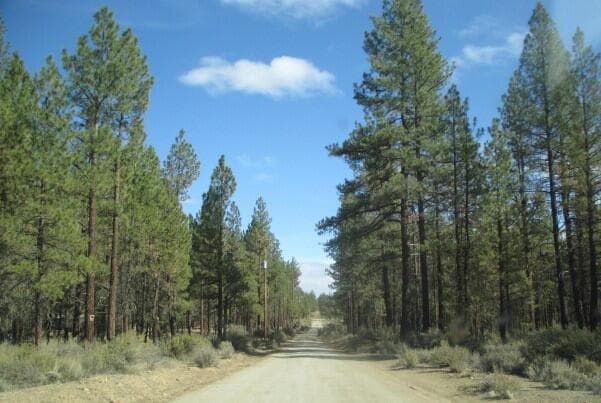 IMG_6095. Photo 3 of 5, 0 Pheasant Lane Unit 16, Chiloquin, OR 97624
