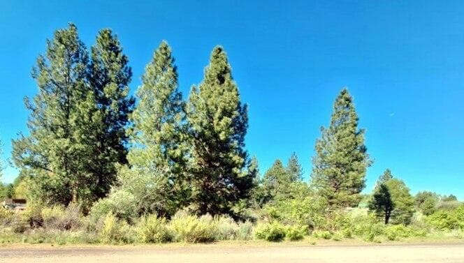 Lot 18 Shoreview. Photo 2 of 12, Shoreview Drive Unit Block 9 Lot 18, Chiloquin, OR 97624