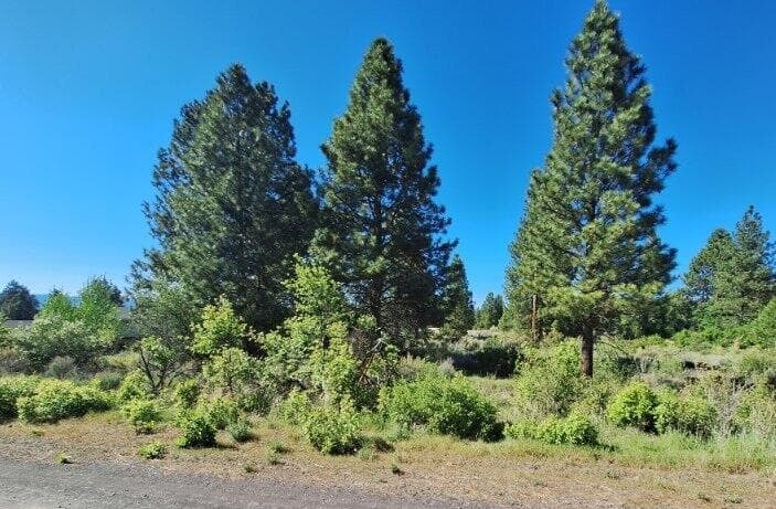 image000000 (31). Photo 1 of 12, Shoreview Drive Unit Block 9 Lot 18, Chiloquin, OR 97624