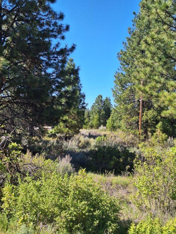 image000000 (32). Photo 3 of 12, Shoreview Drive Unit Block 9 Lot 18, Chiloquin, OR 97624