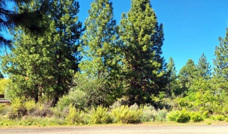 image000003 (9). Photo 4 of 12, Shoreview Drive Unit Block 9 Lot 18, Chiloquin, OR 97624