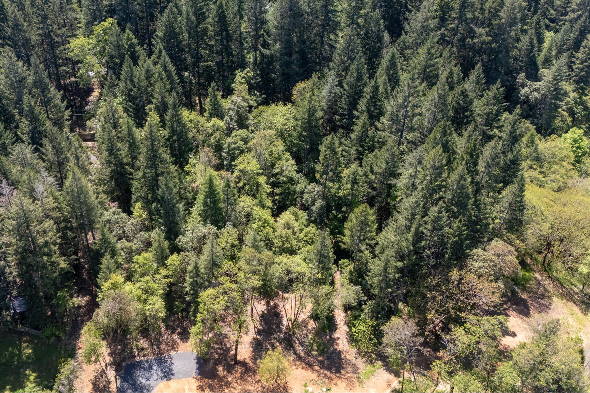 dji_fly_20260428_175002_0081_17785352040. Photo 3 of 28, 847 Caves Highway, Cave Junction, OR 97523