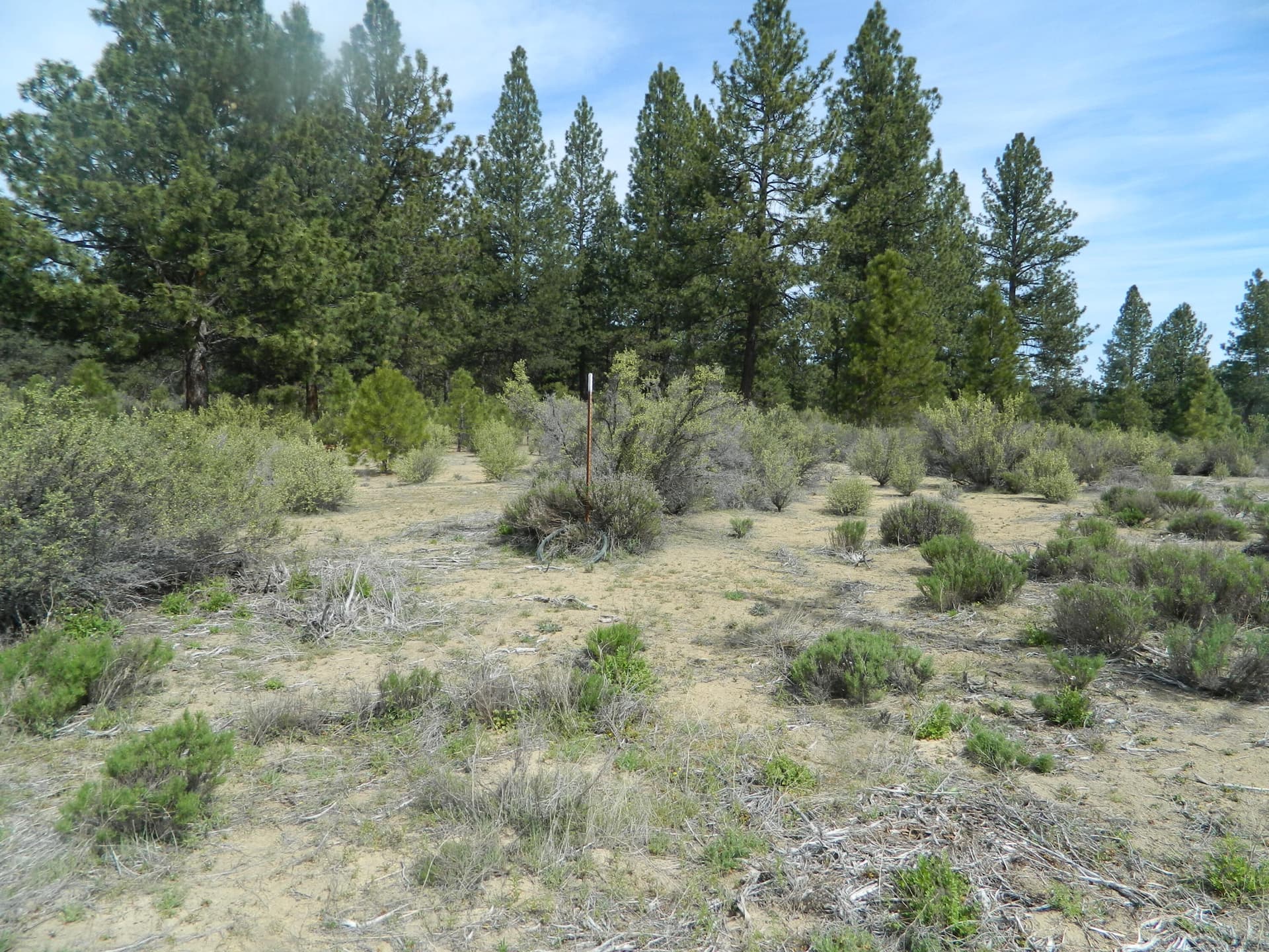 DSCN2796. Photo 2 of 8, 227 Highway 422, Chiloquin, OR 97624