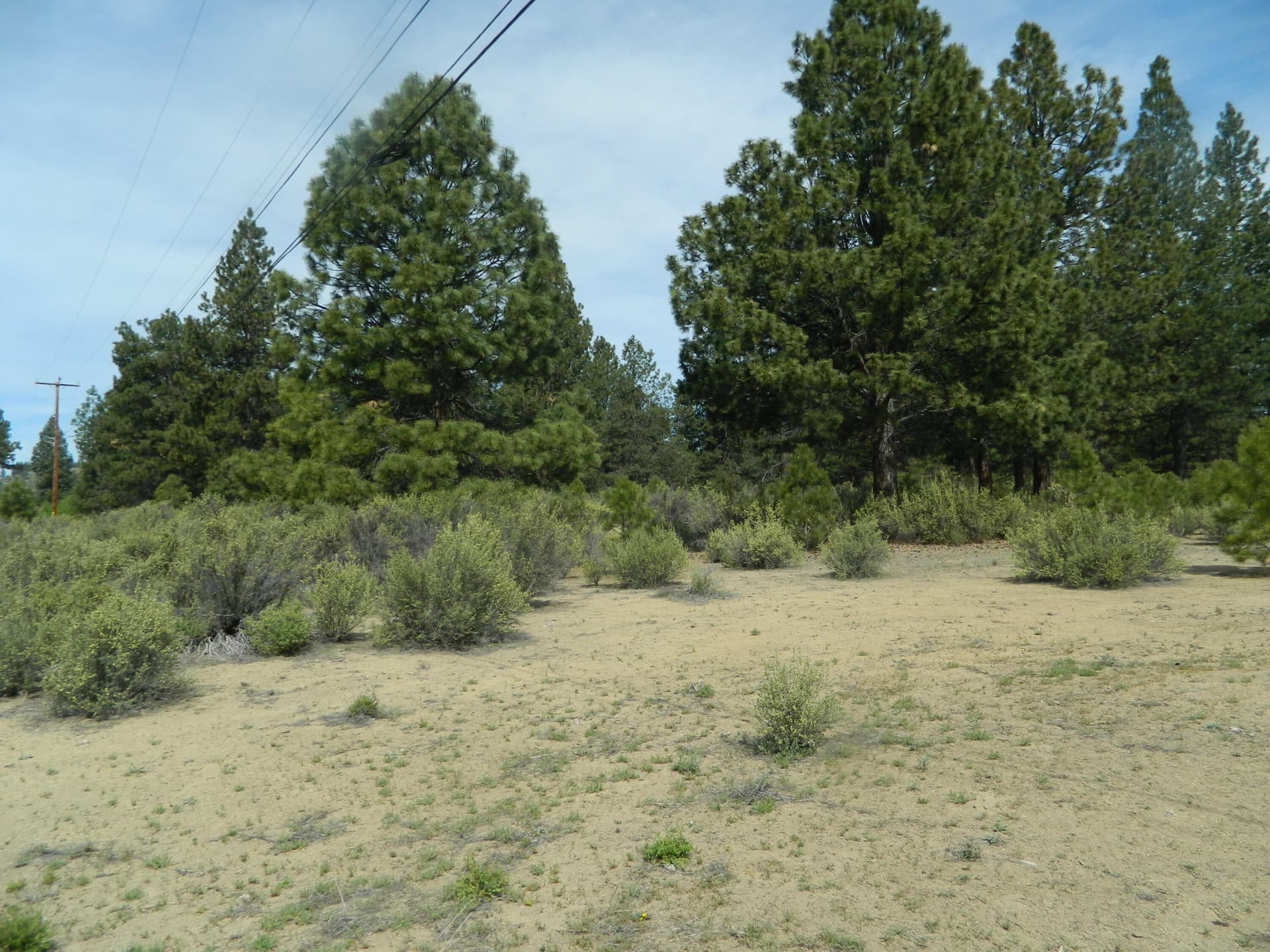 DSCN2797. Photo 3 of 8, 227 Highway 422, Chiloquin, OR 97624
