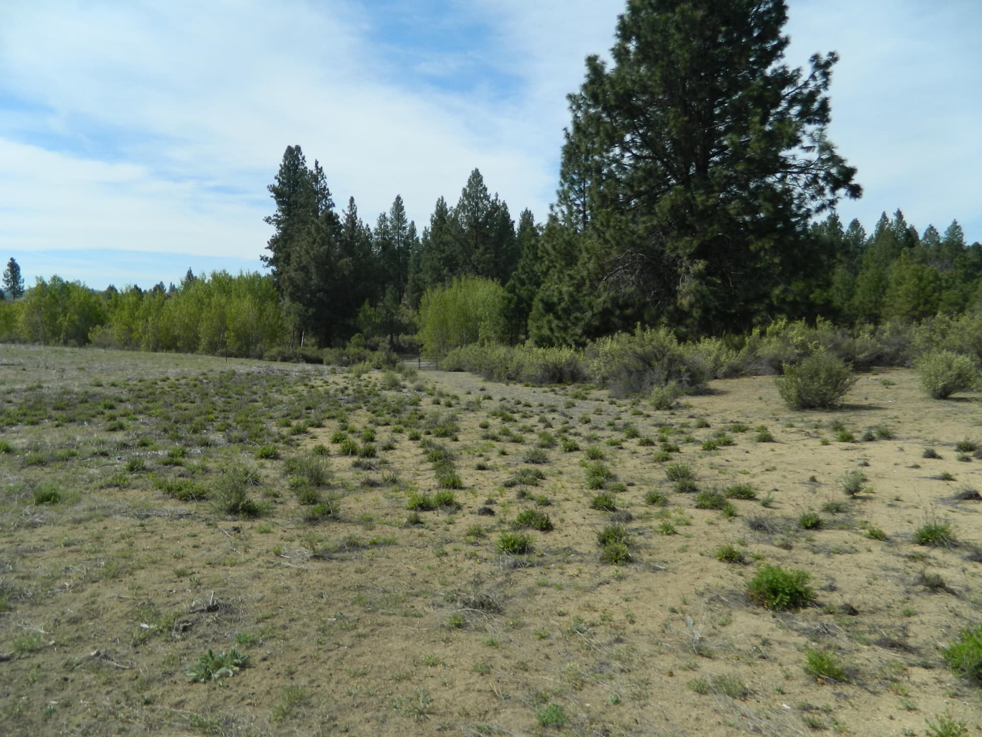 DSCN2798. Photo 4 of 8, 227 Highway 422, Chiloquin, OR 97624