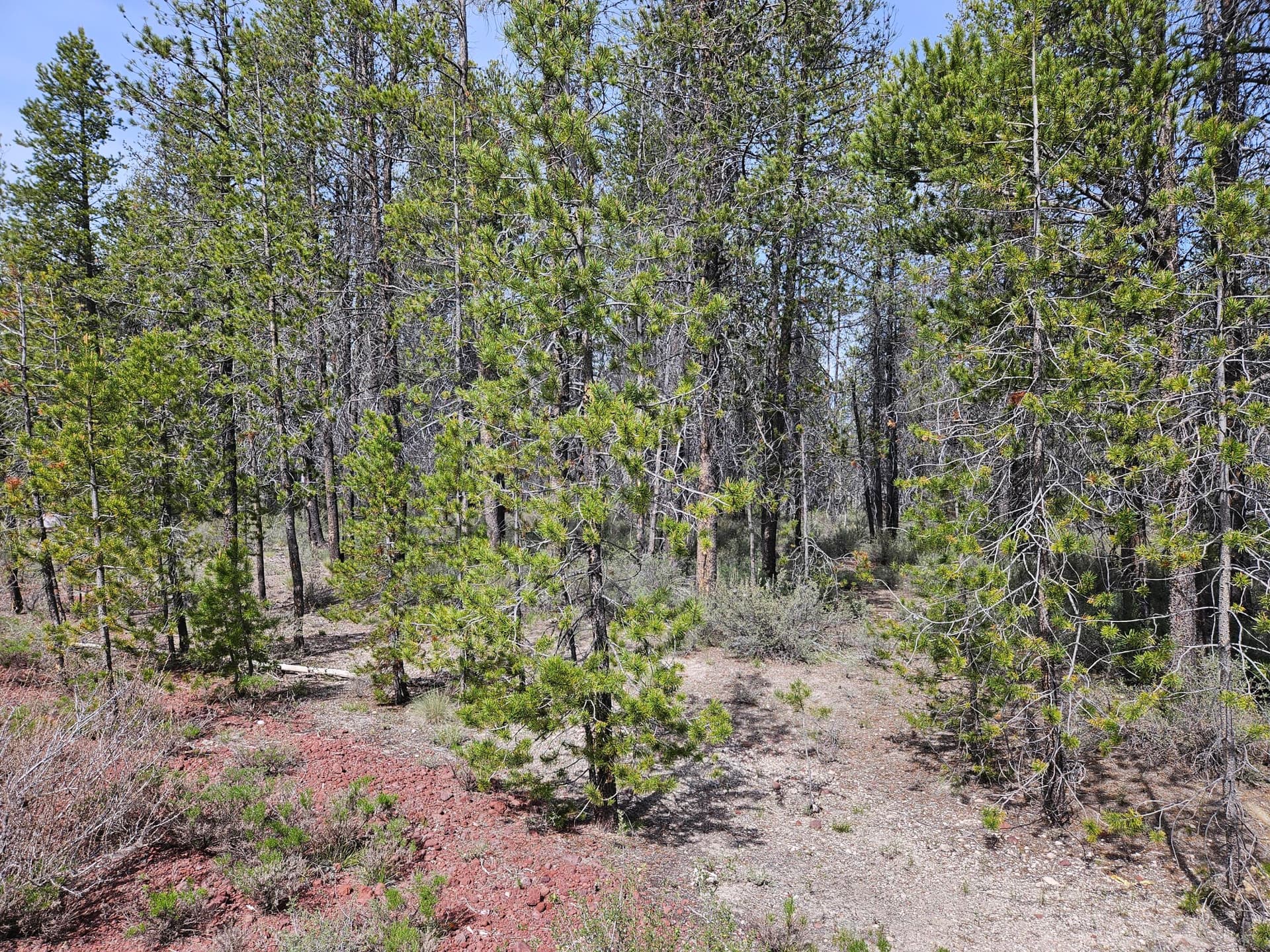 20260515_154404. Photo 1 of 5, 0 Scott View Drive Unit 7, Chiloquin, OR 97624
