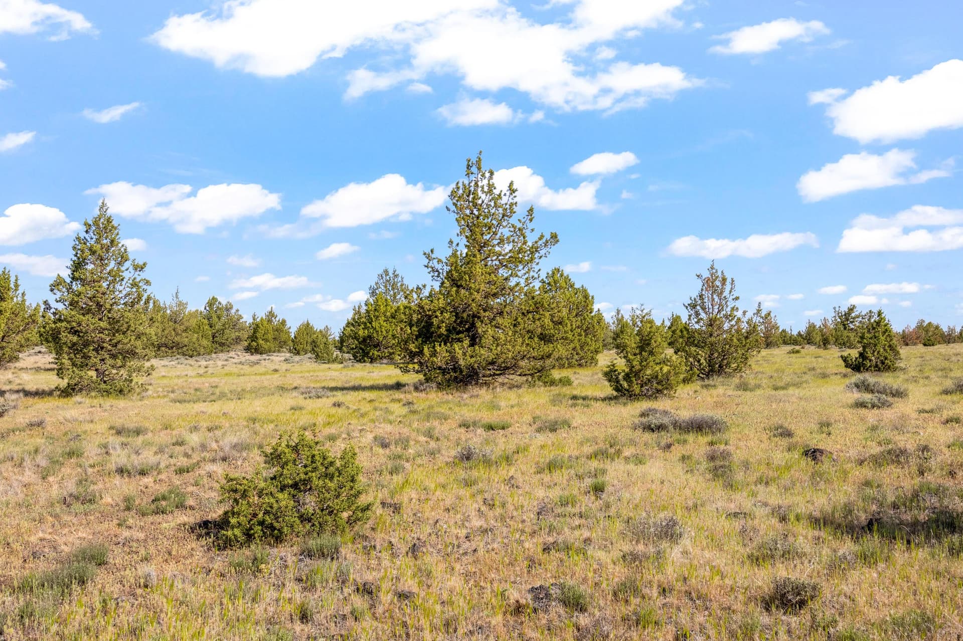 02. Photo 2 of 15, 6751 SE Iowa Road, Prineville, OR 97754