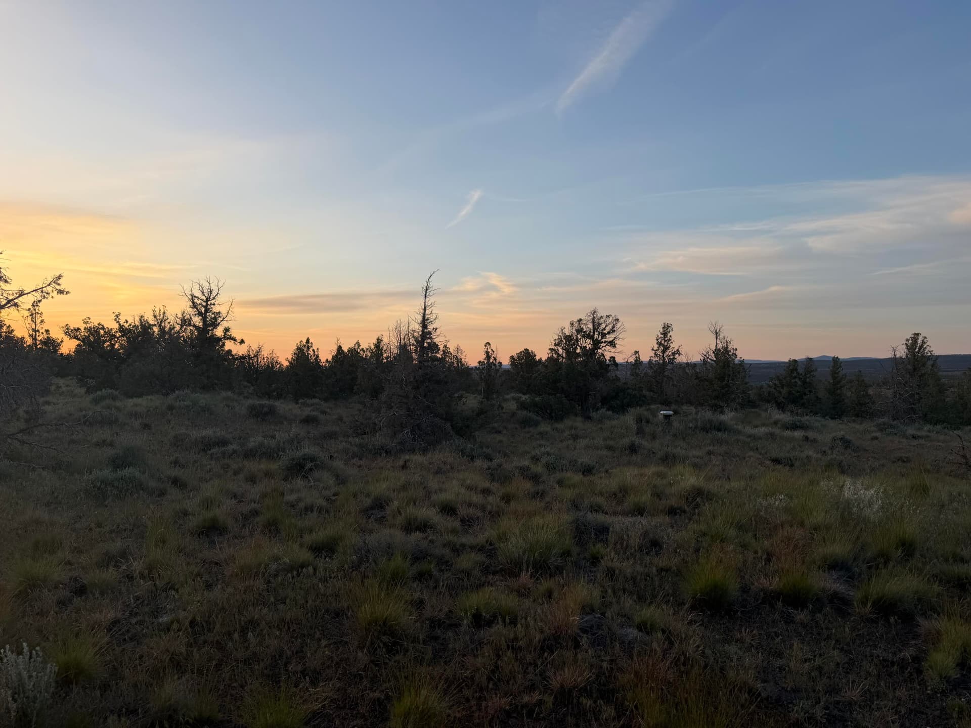 IMG_7586. Photo 2 of 2, 6802 SE Weatherby Loop, Prineville, OR 97754