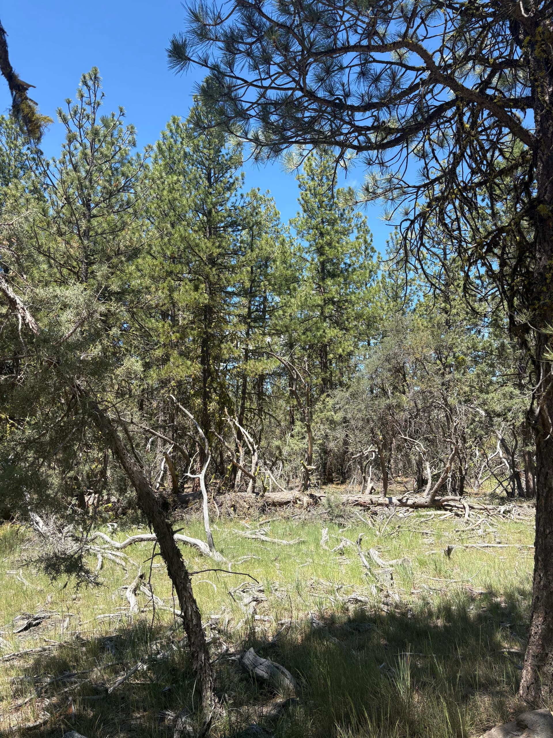 Lot. Photo 1 of 3, 0 Chickadee Drive Unit Lot 10, Bonanza, OR 97623