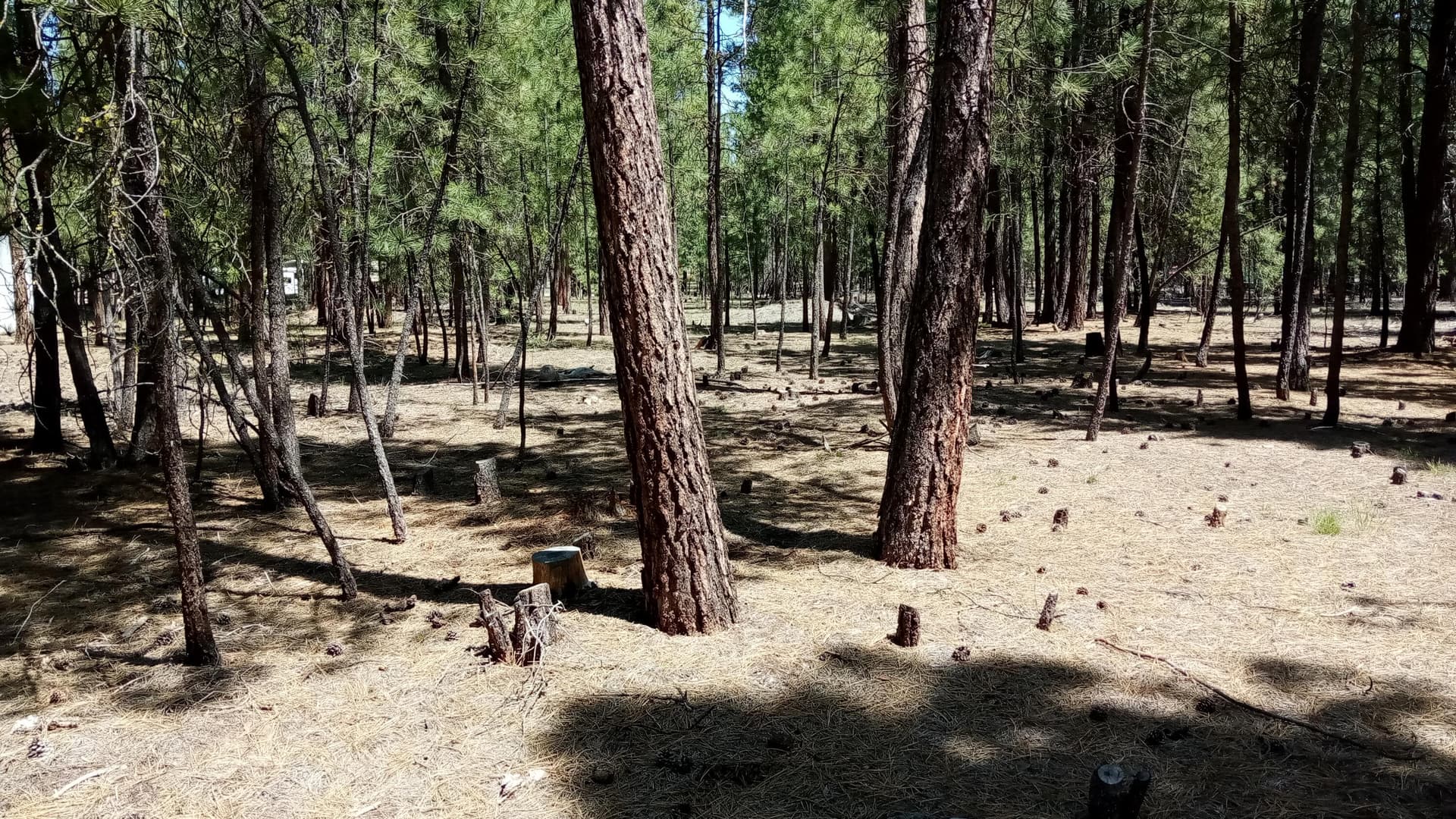IMG_20260515_130010. Photo 2 of 3, 14846 Curlleaf, La Pine, OR 97739
