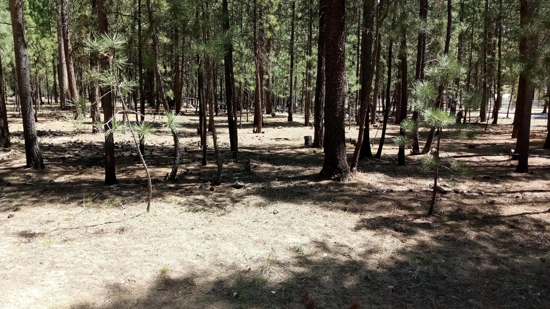 IMG_20260515_125948. Photo 3 of 3, 14846 Curlleaf, La Pine, OR 97739