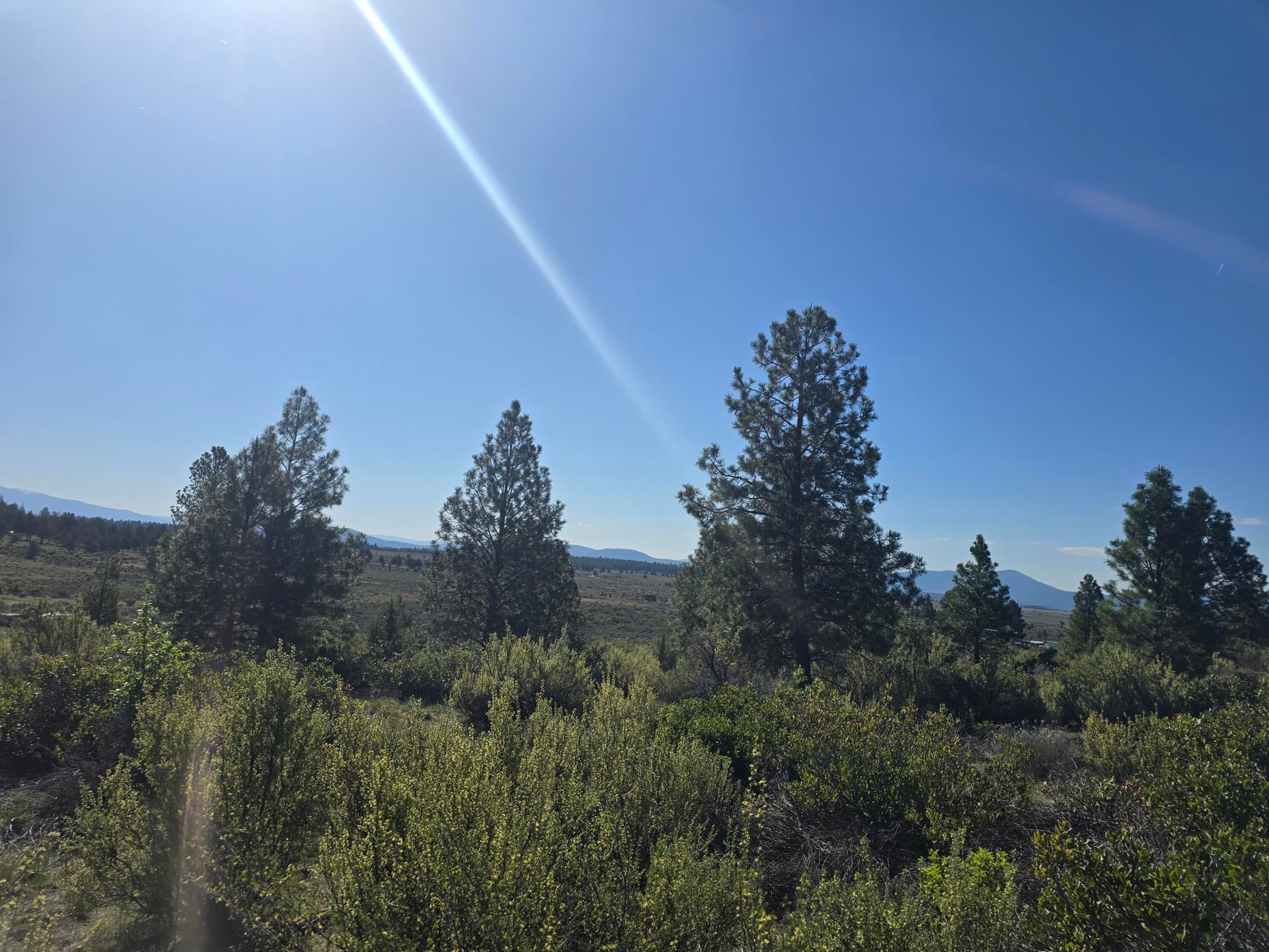 Area. Photo 1 of 12, 0 Cote Canyon Unit 47&48, Sprague River, OR 97639