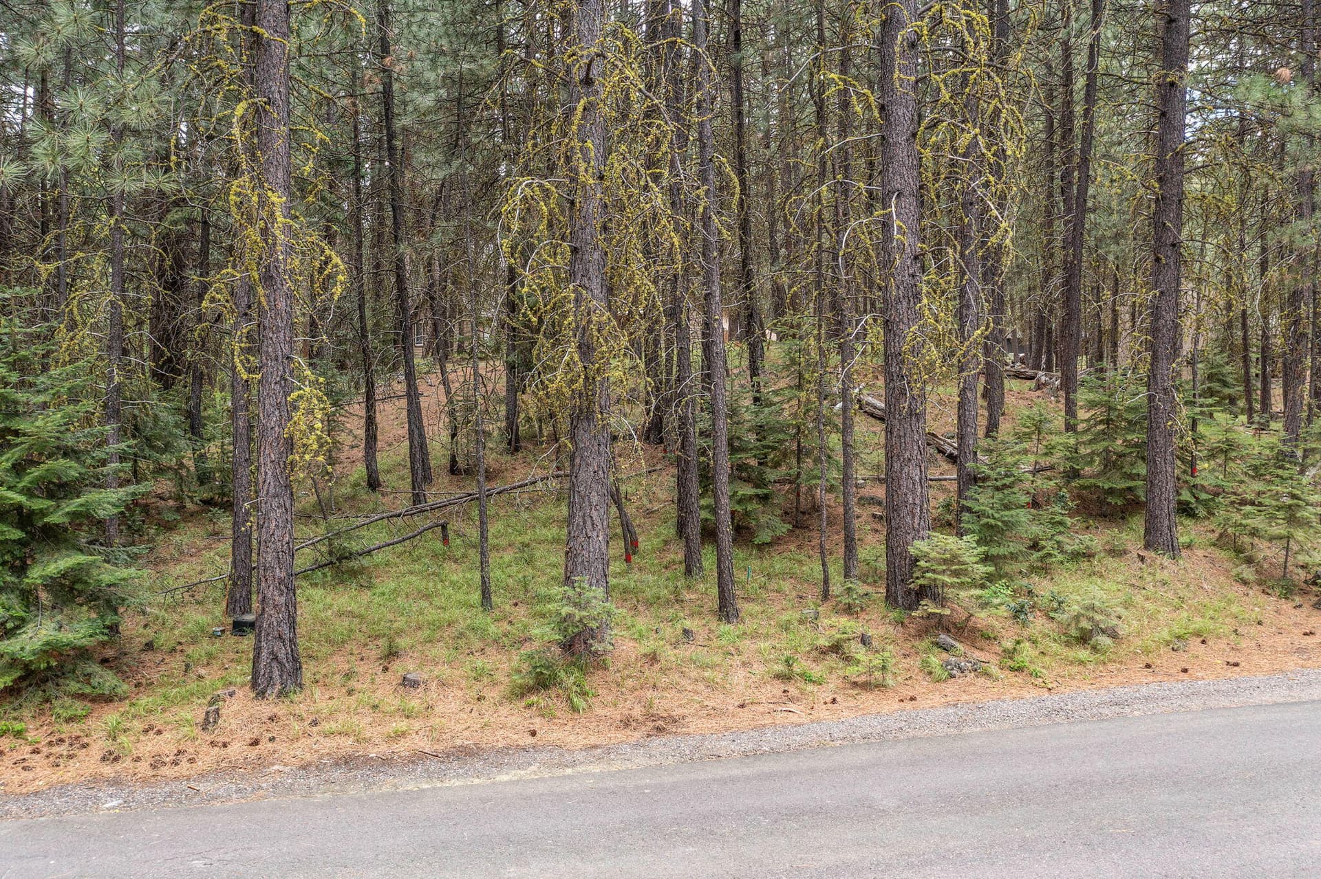 2026_05_18_70785_goldenrod_lot_sisters-9. Photo 3 of 24,  Unit SM 14, Black Butte Ranch, OR 97759