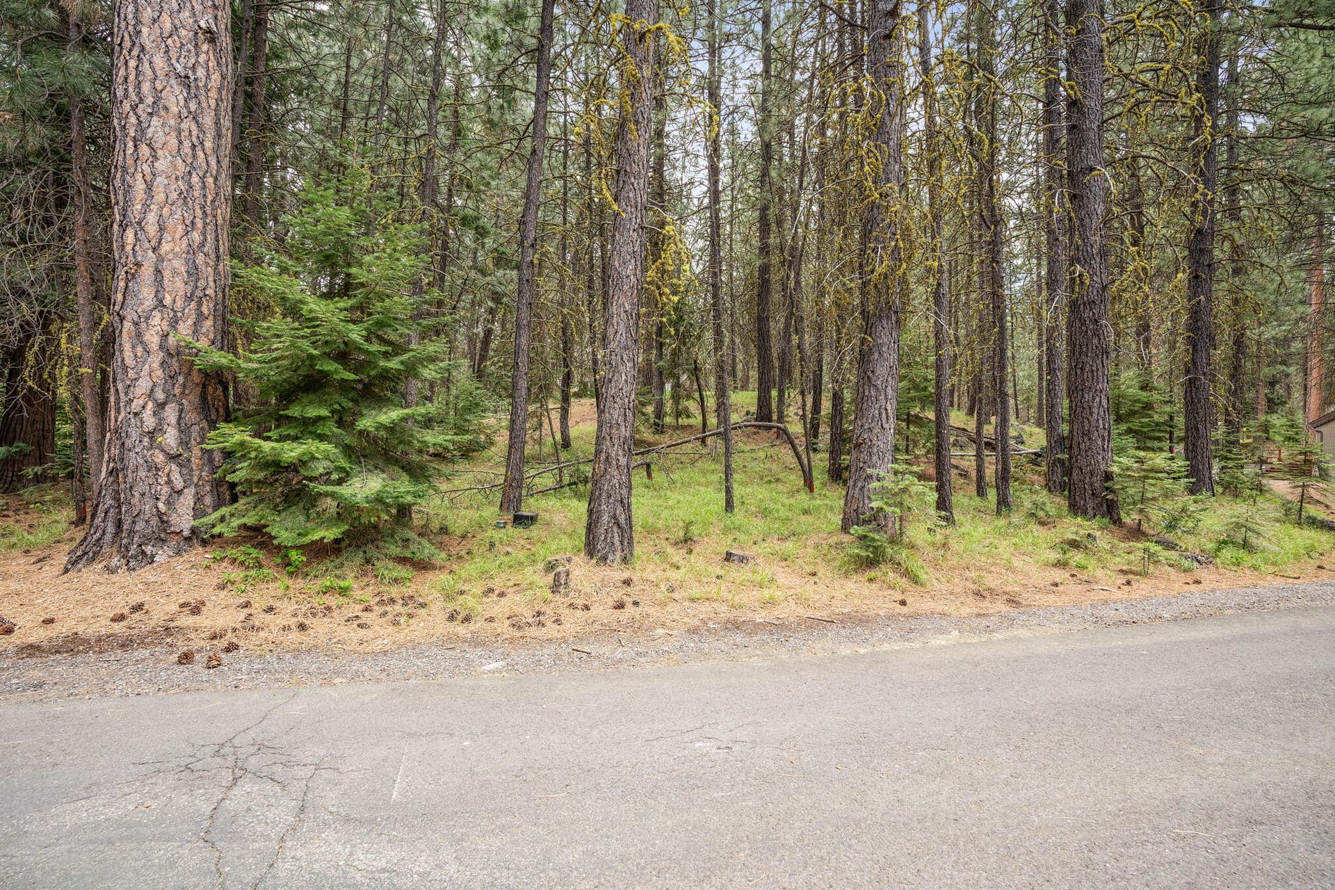 2026_05_18_70785_goldenrod_lot_sisters-1. Photo 4 of 24,  Unit SM 14, Black Butte Ranch, OR 97759