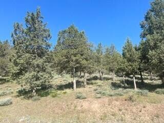 1185 1. Photo 2 of 11, 0 Murrelet Road Unit Lot 1185, Klamath Falls, OR 97601