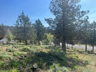 1185 2. Photo 3 of 11, 0 Murrelet Road Unit Lot 1185, Klamath Falls, OR 97601