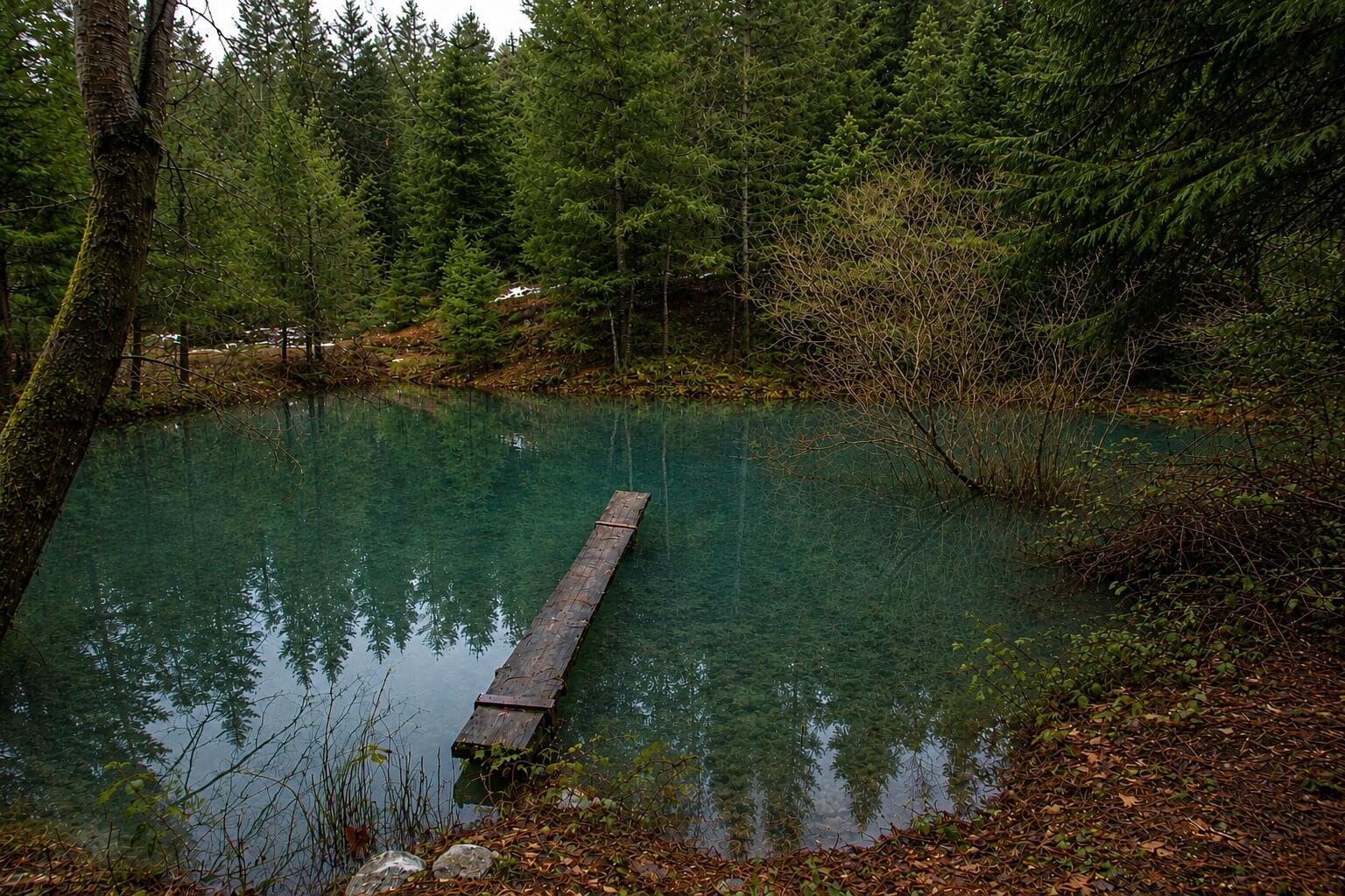 Pond. Photo 3 of 13, 509 Marble Mountain Road, Grants Pass, OR 97527