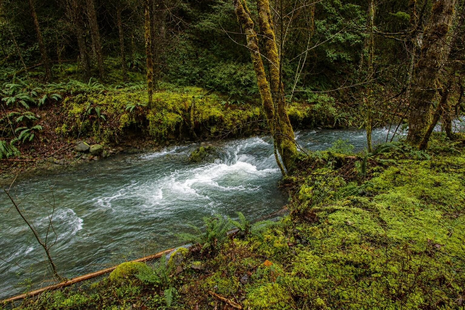 ChatGPT Image May 22, 2026, 07_36_47 AM. Photo 4 of 13, 509 Marble Mountain Road, Grants Pass, OR 97527