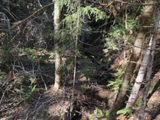 Look down towards creek. Photo 1 of 7, 0 French Peak Road Unit 405, Cave Junction, OR 97523
