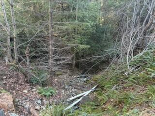 looking towards creek. Photo 5 of 7, 0 French Peak Road Unit 405, Cave Junction, OR 97523