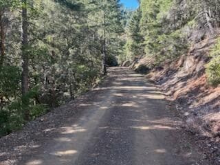 roads are accessable .. Photo 2 of 7, 0 French Peak Road Unit 405, Cave Junction, OR 97523