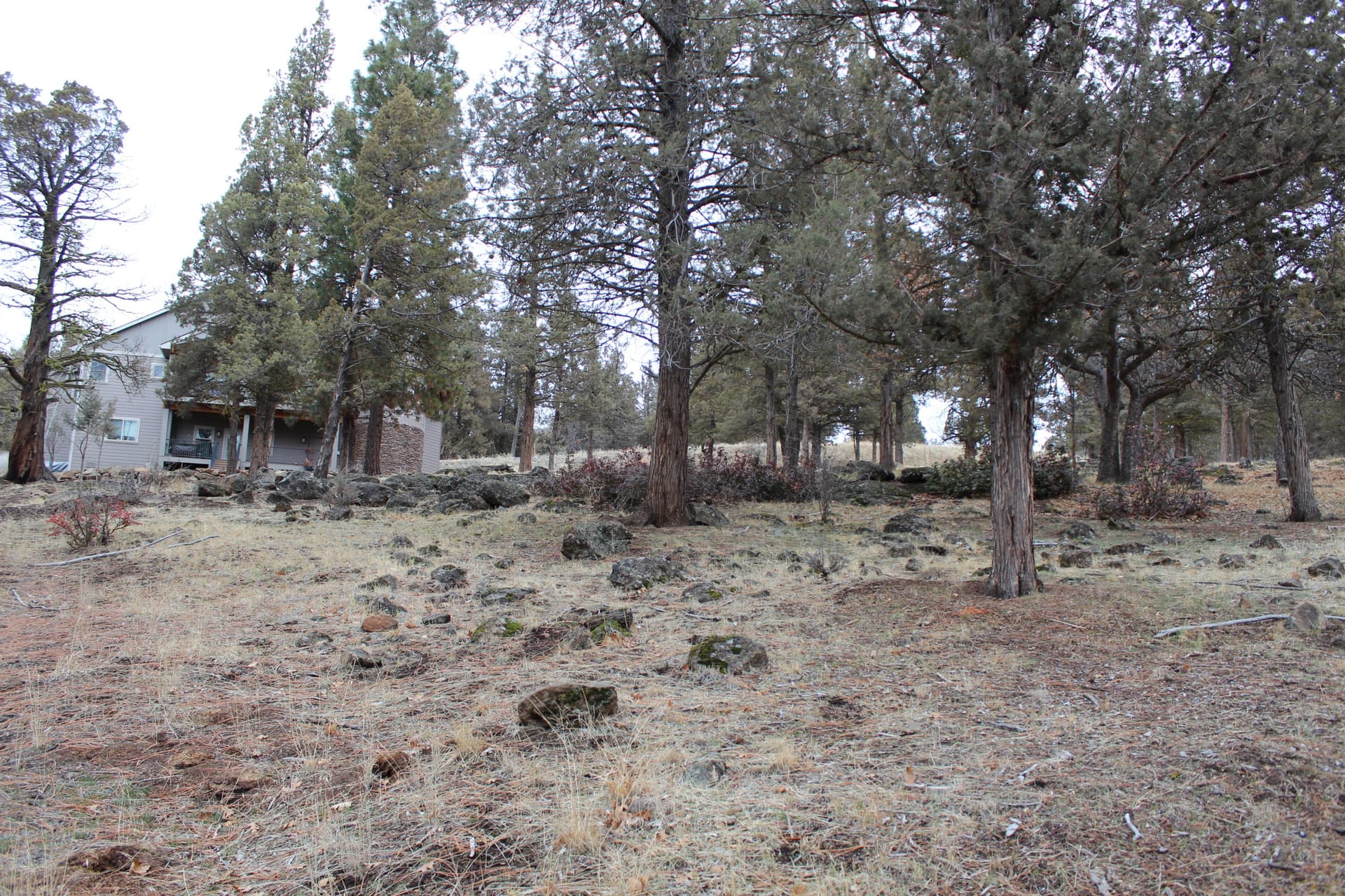 IMG_0316. Photo 1 of 4, 267 Coopers Hawk Unit 267, Klamath Falls, OR 97601