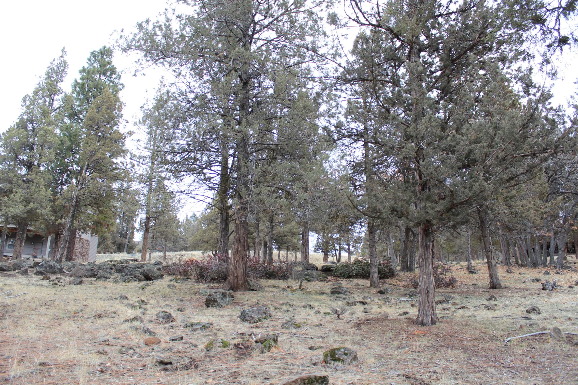 IMG_0317. Photo 2 of 4, 267 Coopers Hawk Unit 267, Klamath Falls, OR 97601