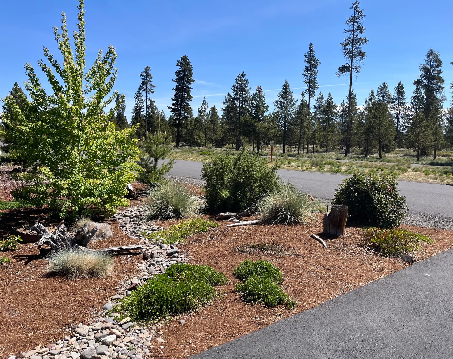 Native landscape and dry creek bed. Photo 2 of 53, 51925 Campfire Drive, La Pine, OR 97739