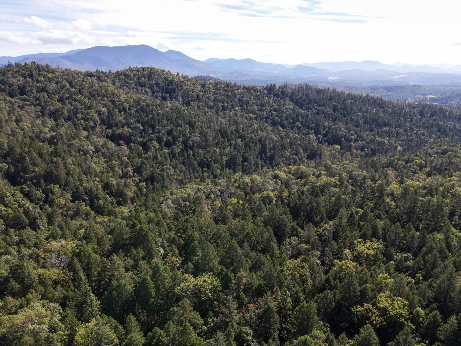 drone. Photo 1 of 24, Quartz Creek Road Unit R301574, Merlin, OR 97532