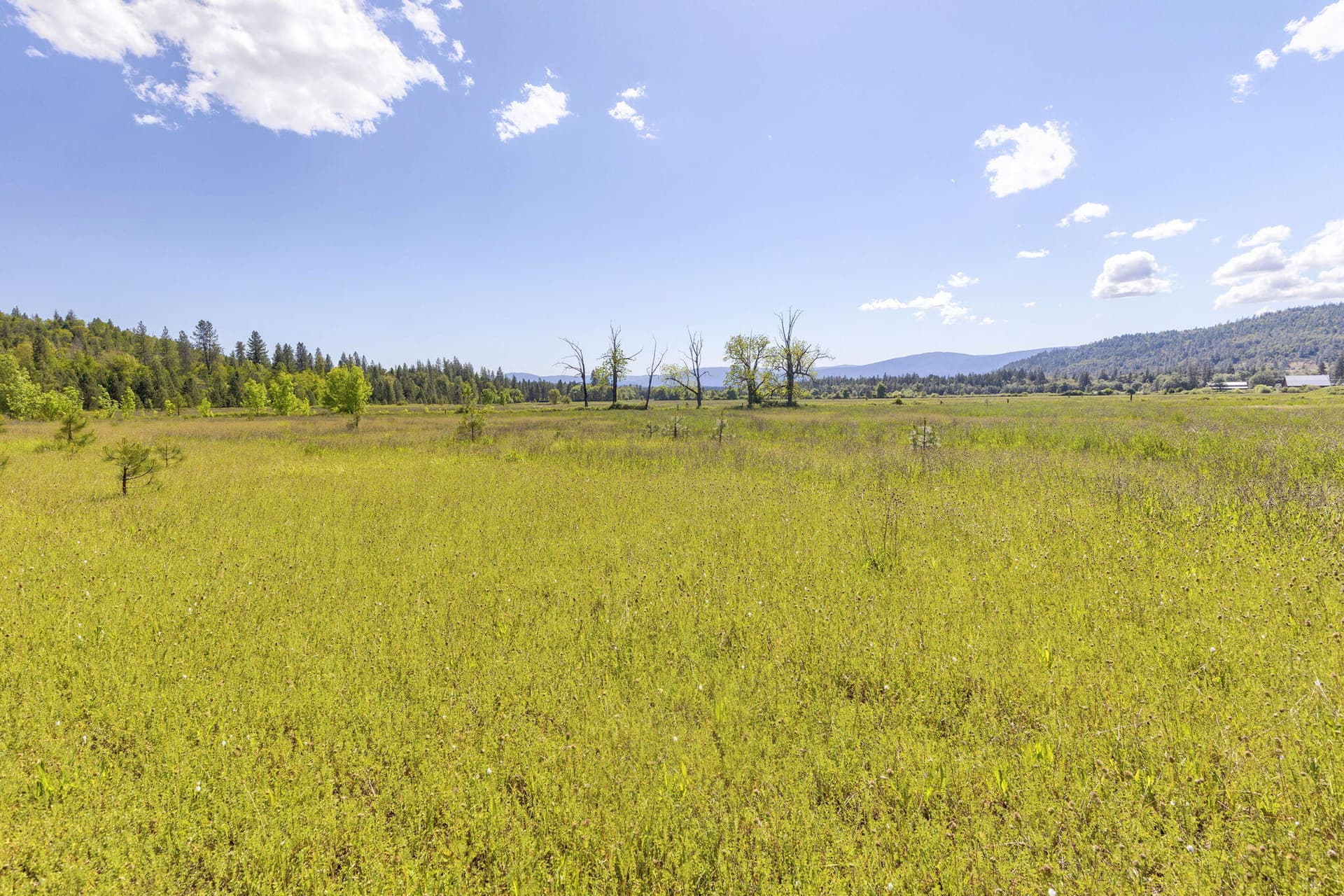 Nearly 80 acres Beauty. Photo 5 of 28, 5005 Caves Highway, Cave Junction, OR 97523