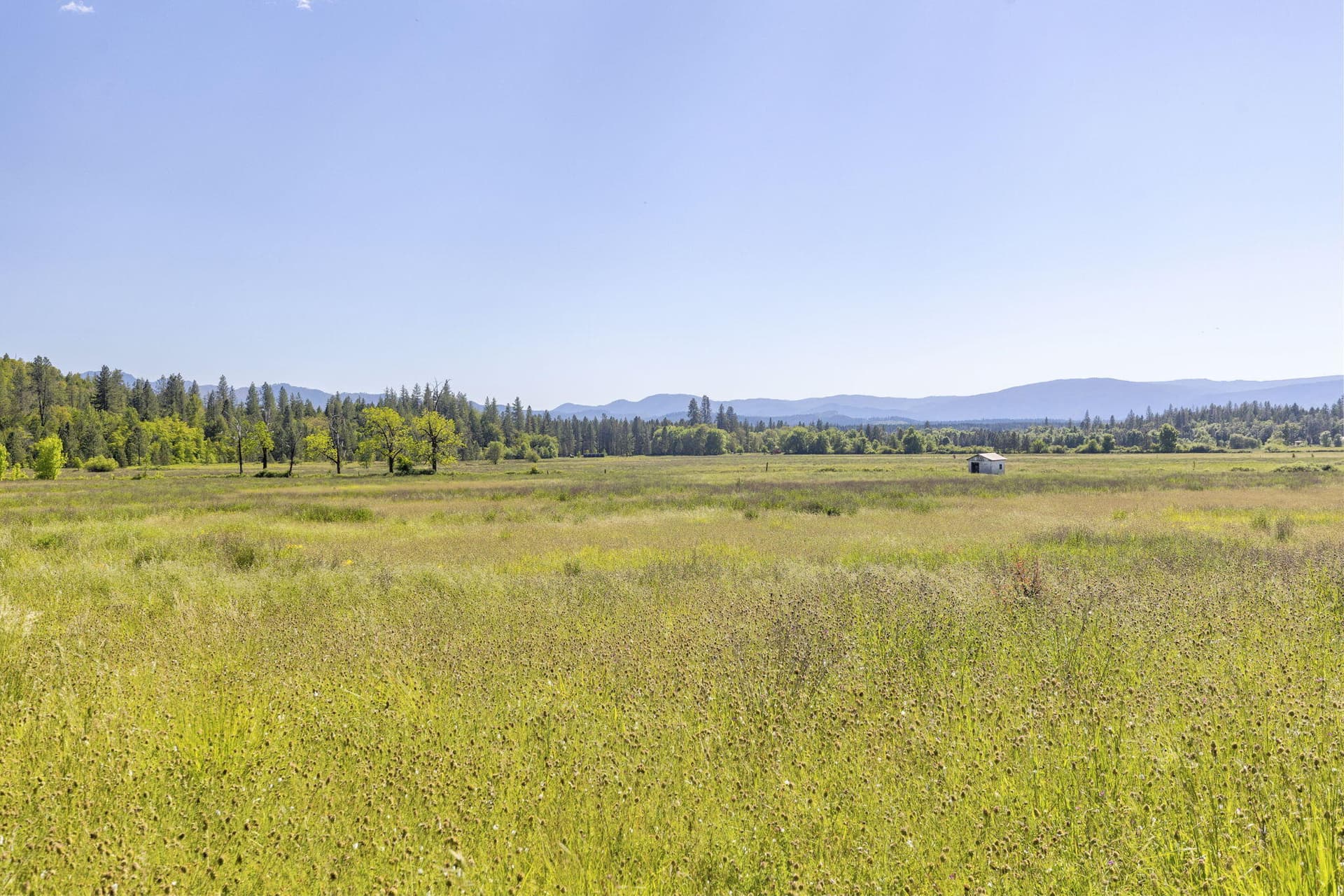 Nearly 80 acres Beauty. Photo 4 of 28, 5005 Caves Highway, Cave Junction, OR 97523