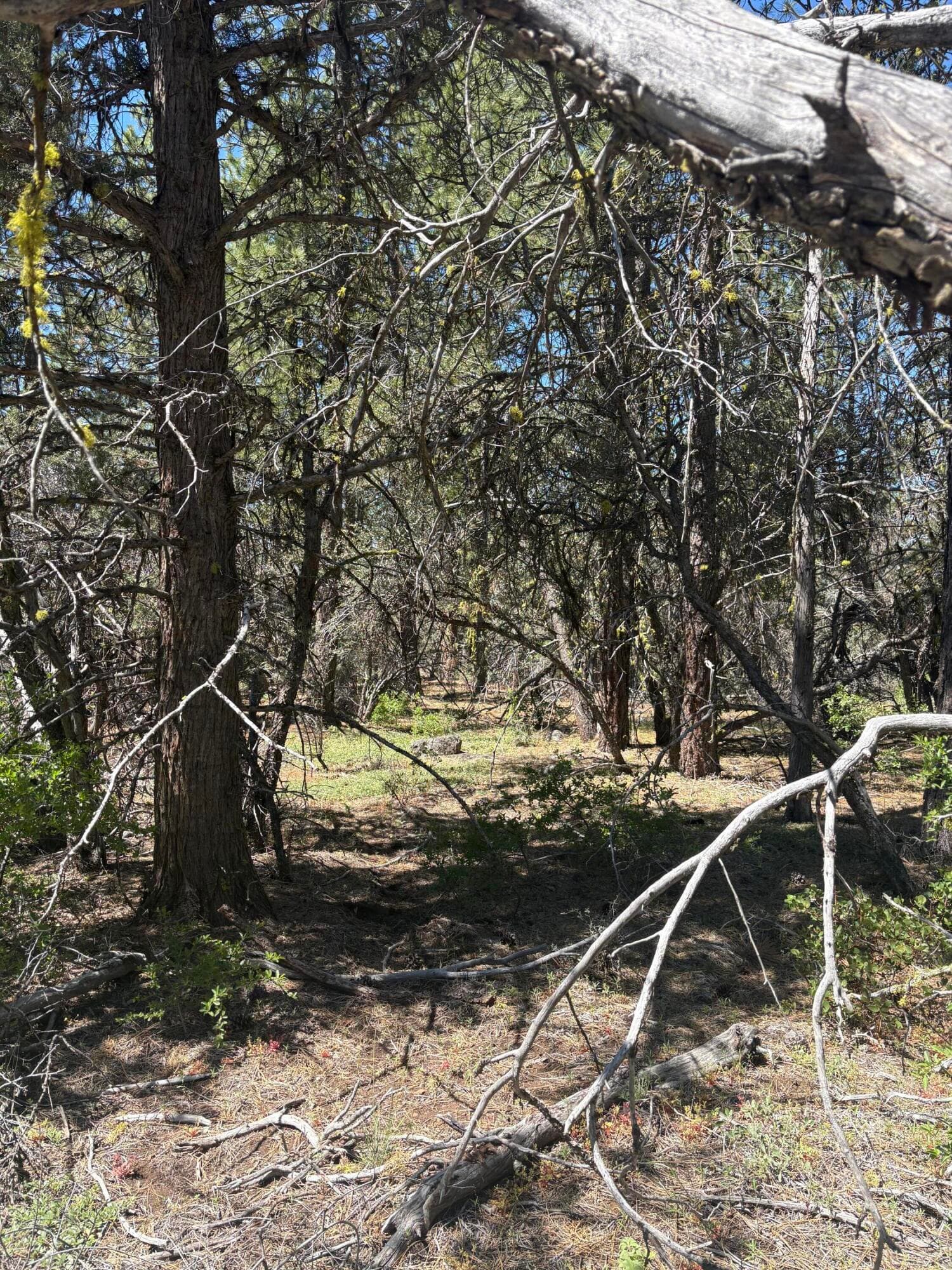 Lot. Photo 3 of 3, 0 Chickadee Drive Unit Lot 10, Bonanza, OR 97623