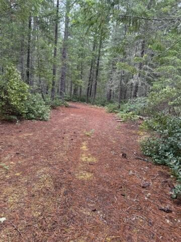all level (entire property). Photo 2 of 16, Lone Mountain Road Unit 1300, O'Brien, OR 97534