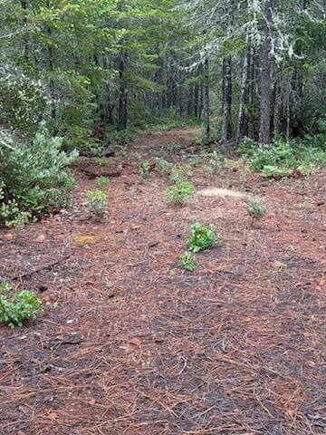 another path back to entrance. Photo 3 of 16, Lone Mountain Road Unit 1300, O'Brien, OR 97534