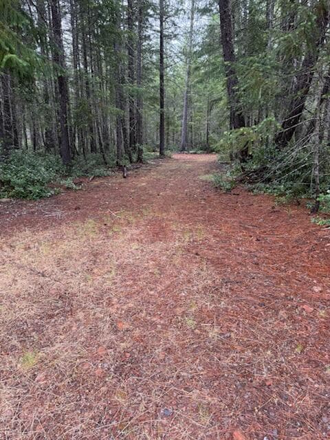 Many variety of trees. nice wide trails.. Photo 4 of 16, Lone Mountain Road Unit 1300, O'Brien, OR 97534