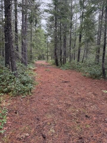 More trails.. Photo 5 of 16, Lone Mountain Road Unit 1300, O'Brien, OR 97534