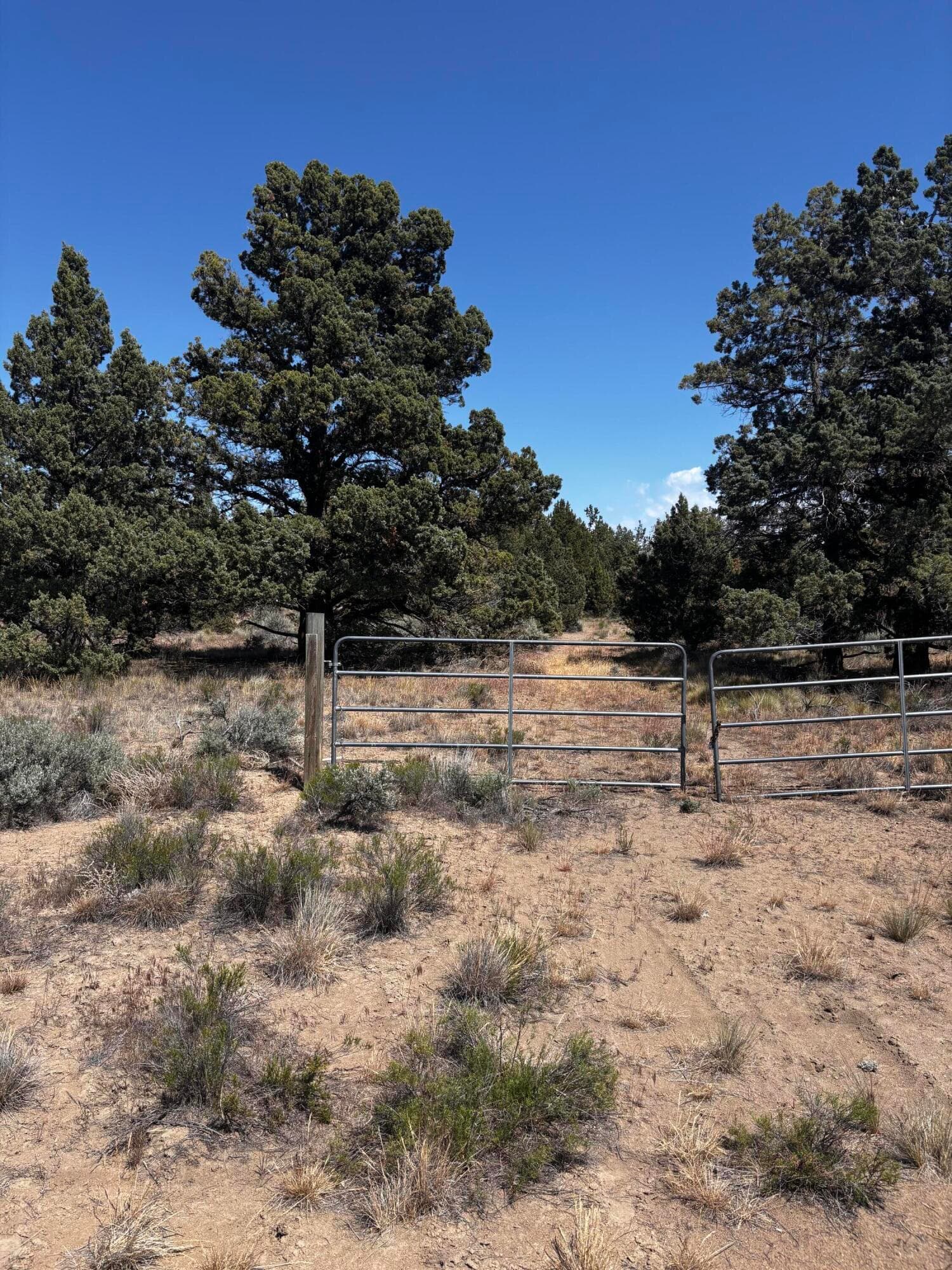 IMG_6303. Photo 1 of 10, 14794 SE Crow Road, Prineville, OR 97754