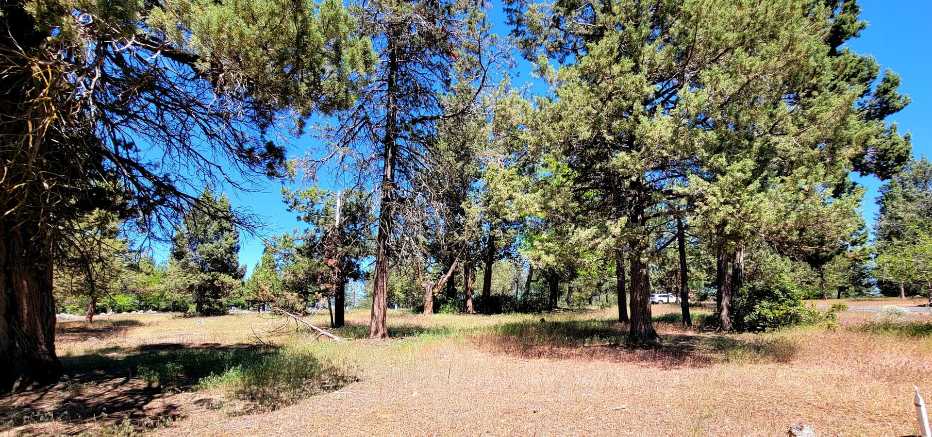 Lot. Photo 1 of 5, 6550 Osprey Lane, Klamath Falls, OR 97601