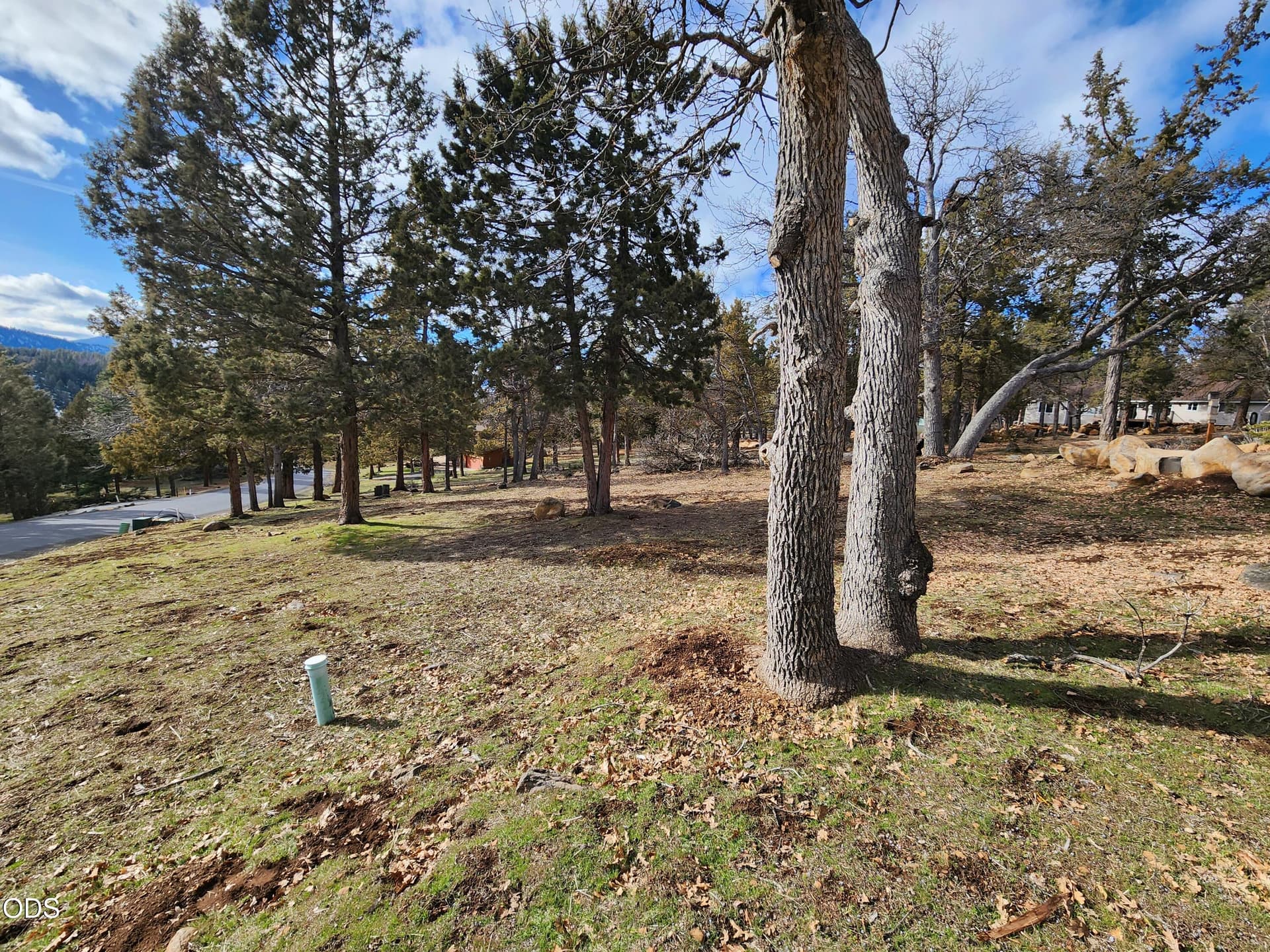 3_259 from neighbor_2. Photo 2 of 13, Coopers Hawk Unit 259, Klamath Falls, OR 97601