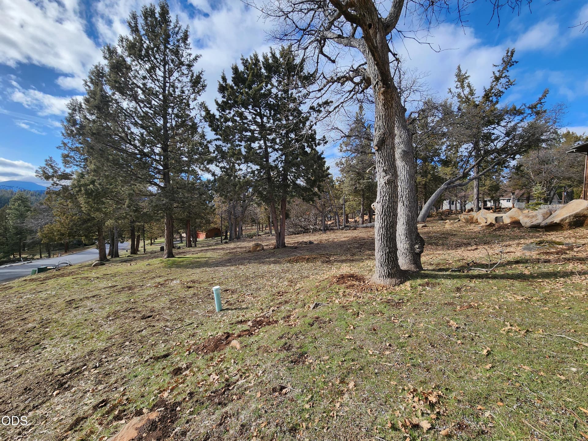 4_259 from neighbor_3. Photo 3 of 13, Coopers Hawk Unit 259, Klamath Falls, OR 97601
