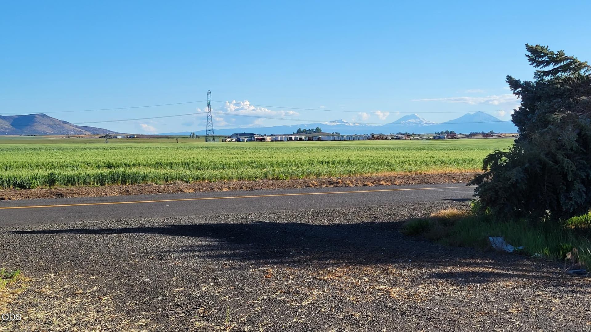 1000053906. Photo 2 of 16, 513 9th Street, Metolius, OR 97741