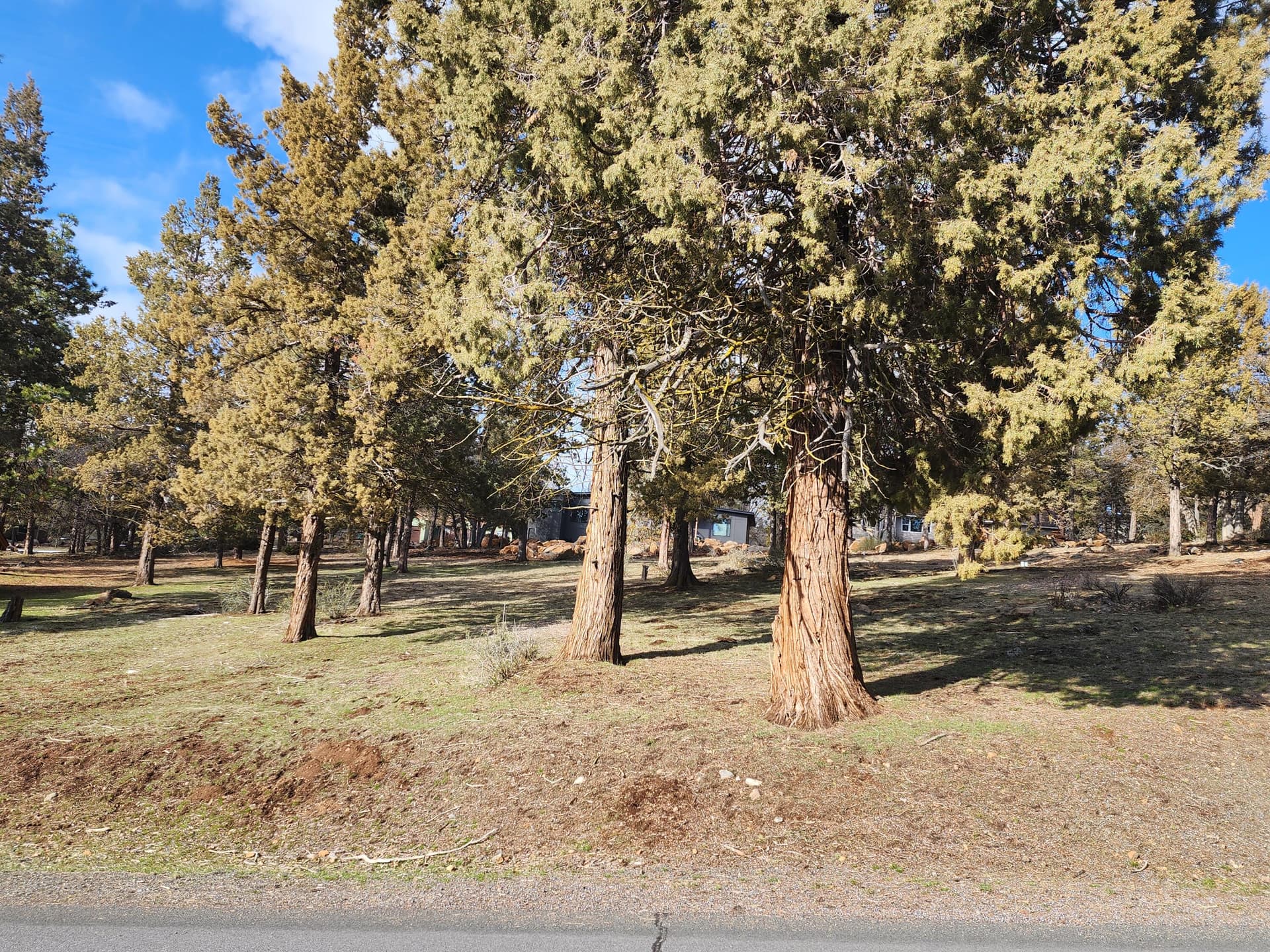 3_260 from road_4. Photo 3 of 11, Coopers Hawk Unit 260, Klamath Falls, OR 97601