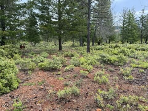 center of prop.. Photo 3 of 13, 32001 Redwood Highway, Cave Junction, OR 97523