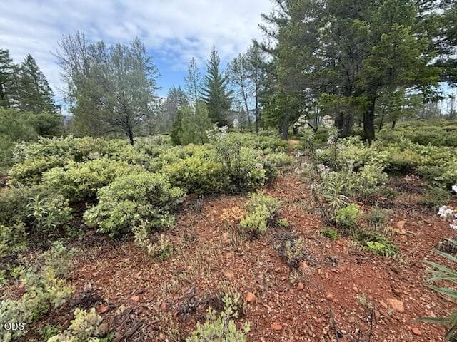 Easy to clear of brush for home. Photo 5 of 13, 32001 Redwood Highway, Cave Junction, OR 97523
