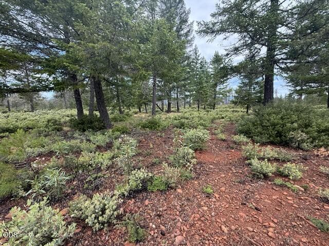 looking North from So. line. Photo 1 of 13, 32001 Redwood Highway, Cave Junction, OR 97523